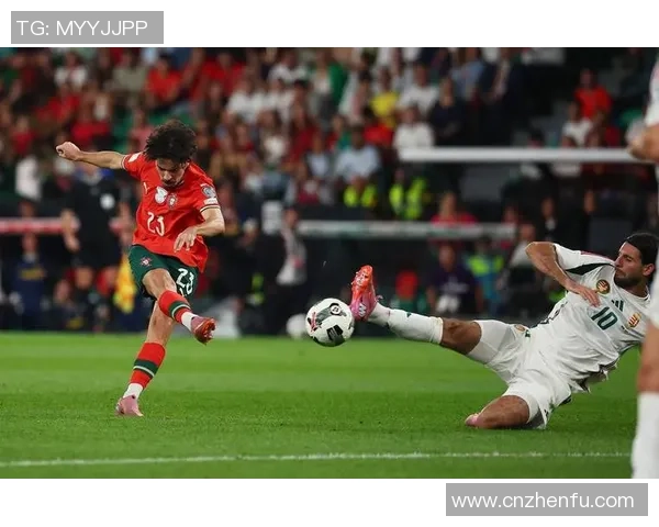 世界杯激荡全球体育激情与各国球队奋战风云传奇纪实汇精彩盛典篇 世界杯激荡全球体育激情与各国球队奋战风云传奇纪实汇精彩盛典篇