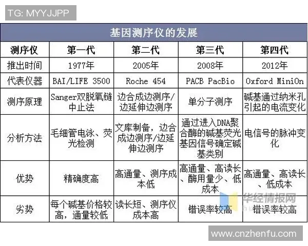 乒乓球运动的技术演变与全球发展趋势分析及未来前景探讨