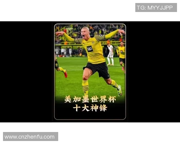 展望美加墨世界杯全球足球盛宴及其经济文化赛事影响深度解析全景