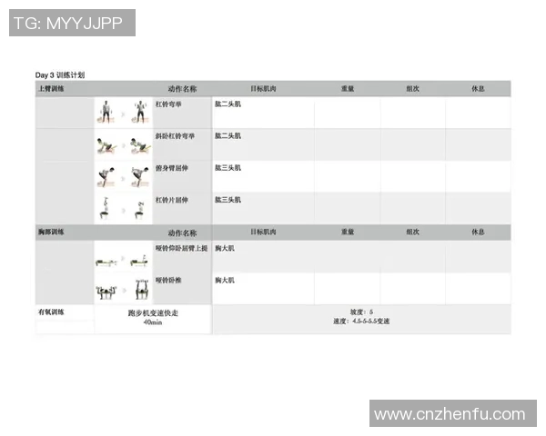 打造完美身材的健身计划 从基础训练到高效减脂的全方位指南